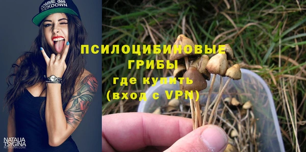 spice Алексеевка